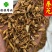 秦艽家种秦艽统段供应各种中药材过筛货