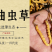 西藏那曲冬虫夏草产地直销，精选，精品虫草，无串条，无牙签