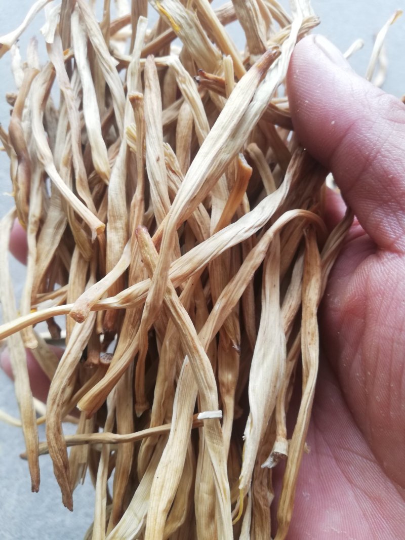 陕西大荔无硫托盘精品黄花菜，产地一手货源，不断货无硫菜