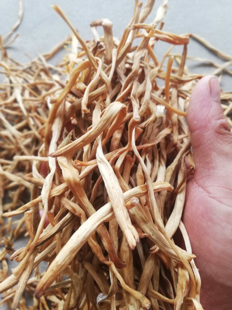 陕西大荔无硫托盘精品黄花菜，产地一手货源，不断货无硫菜