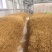 陕西大荔无硫托盘精品黄花菜，产地一手货源，不断货无硫菜
