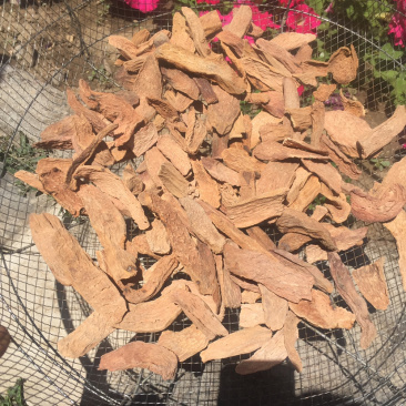 锁阳片去皮甘肃酒泉沙漠人参精品泡茶煲汤炖肉