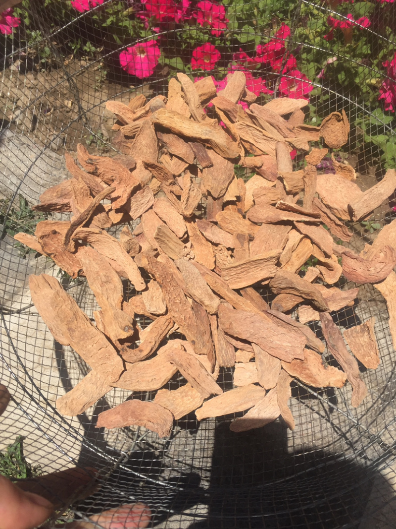 锁阳片去皮甘肃酒泉沙漠人参精品泡茶煲汤炖肉