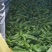 陕西散装牛角椒大量供应！欢迎大家来采购！