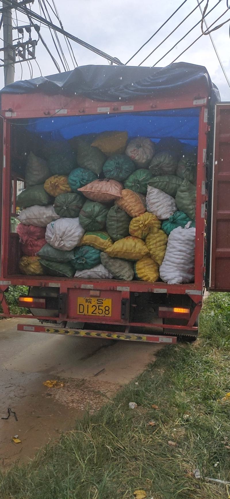 广西新鲜果百香果热带水果汁奶茶店果酱专用