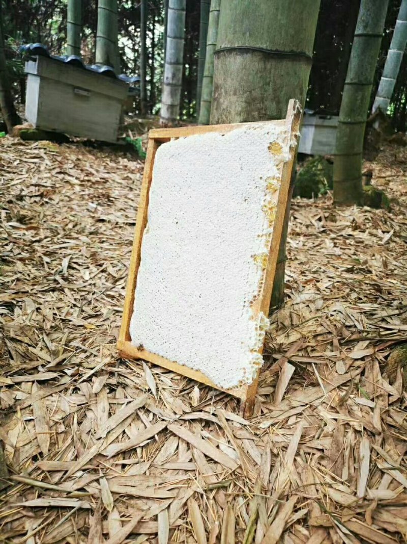 湖南资兴市清江镇小何高山蜂场，土蜂蜜，百花蜜，全国发货