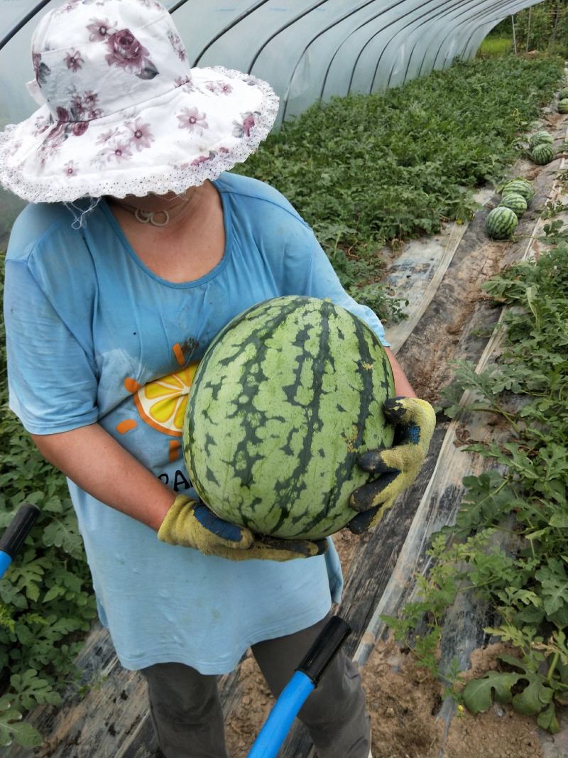 种植基地