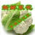 精选菜花,紧花散花2/3斤,产地供货,欢迎采购,质量可靠