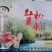 精品粉条自家生产干净卫生批发代理厂家发货质量保证