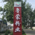 精品粉条自家生产干净卫生批发代理厂家发货质量保证