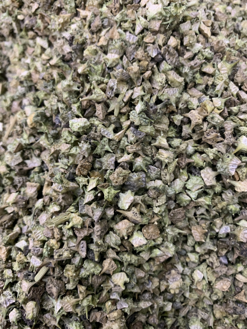 蒺藜一公斤起批无硫磺熏蒸蒺藜蒺藜