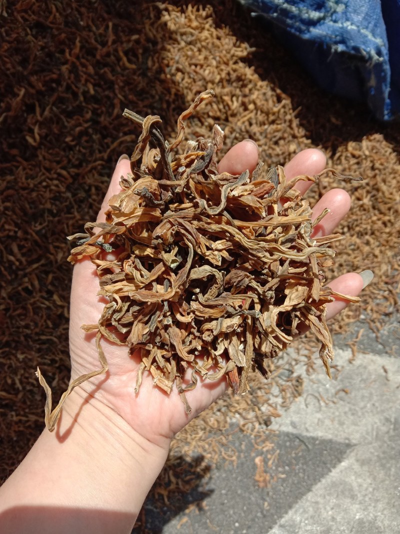 干豆角豆角段豆角结碎豆角60斤一件