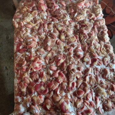 纯干冷鲜鸡胗蛋鸡胗肉鸡胗精品装鸡胗