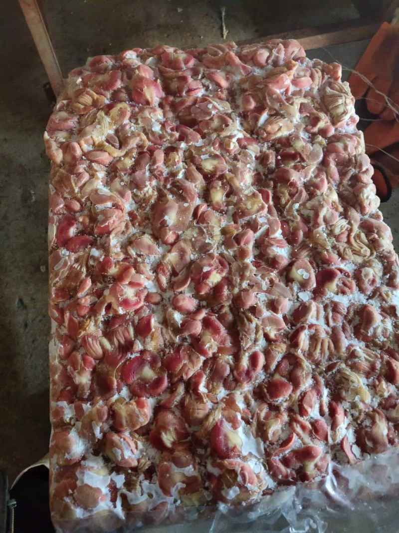 纯干冷鲜鸡胗蛋鸡胗肉鸡胗精品装鸡胗