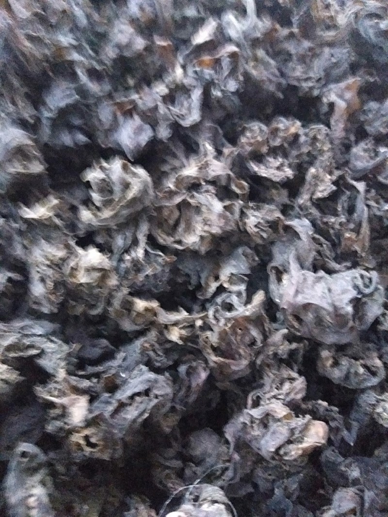 生长在大山里的天然地皮菜靓货经过手工捡干净长年有货