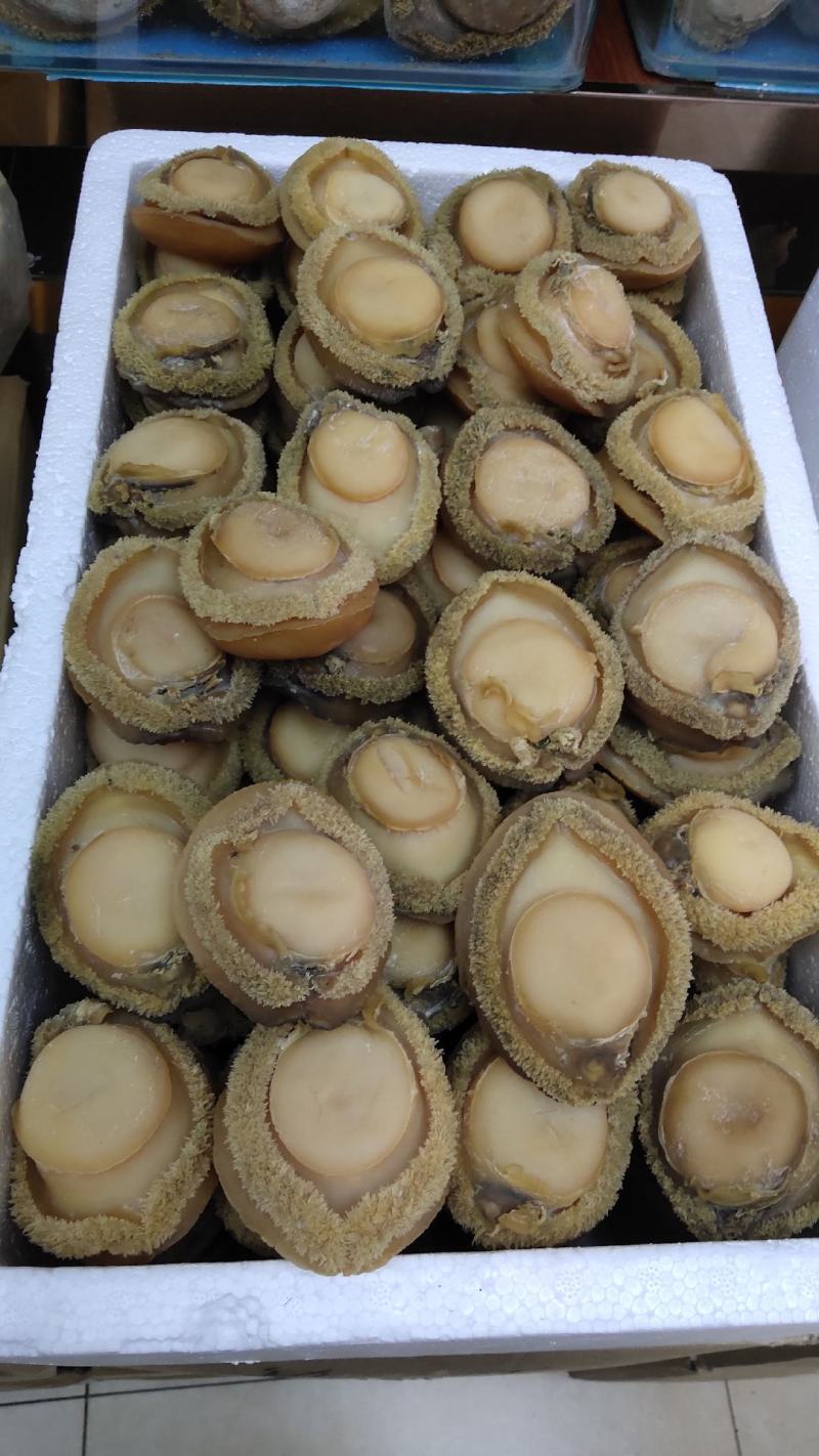 干鲍，即食鲍鱼全国发货！电话.18788480082