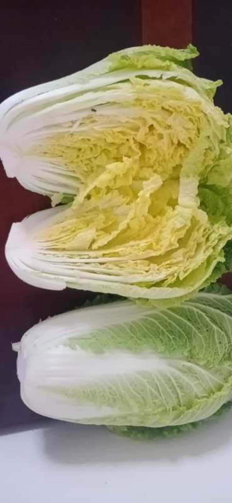 河北黄心白菜精品大白菜，品质优良，供各大超市市场