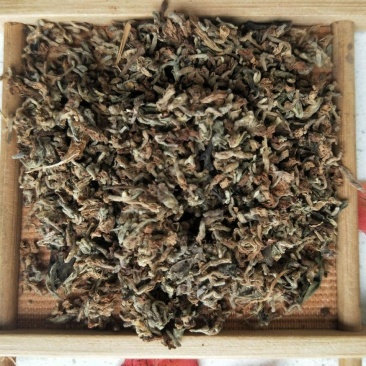 芫花正品紫芫花野生高含量冷背品种购买请遵医嘱！！
