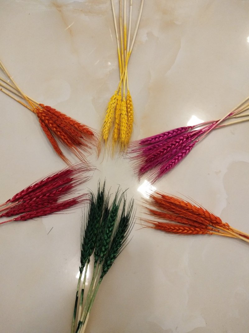 麦穗干花厂家常年供应直发批发各类彩色花卉，量大从优！