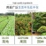 PE软带水带输水带软带主管双层复合水带农用软管