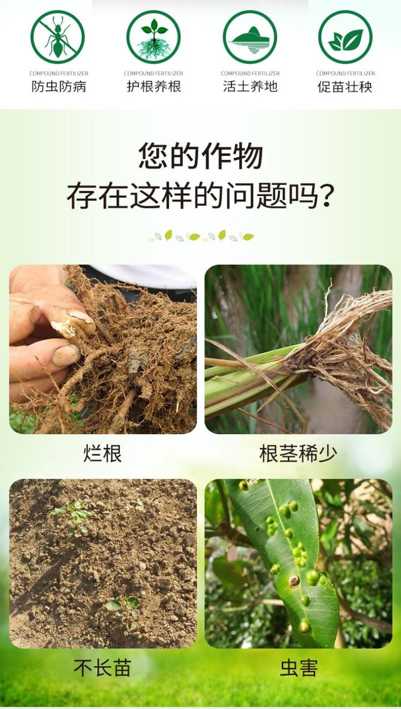 根管家有机肥护根养根防虫防病防腐促苗壮秧。