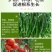 根管家有机肥护根养根防虫防病防腐促苗壮秧。