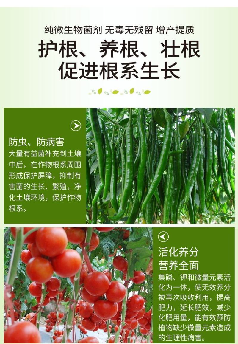 根管家有机肥护根养根防虫防病防腐促苗壮秧。