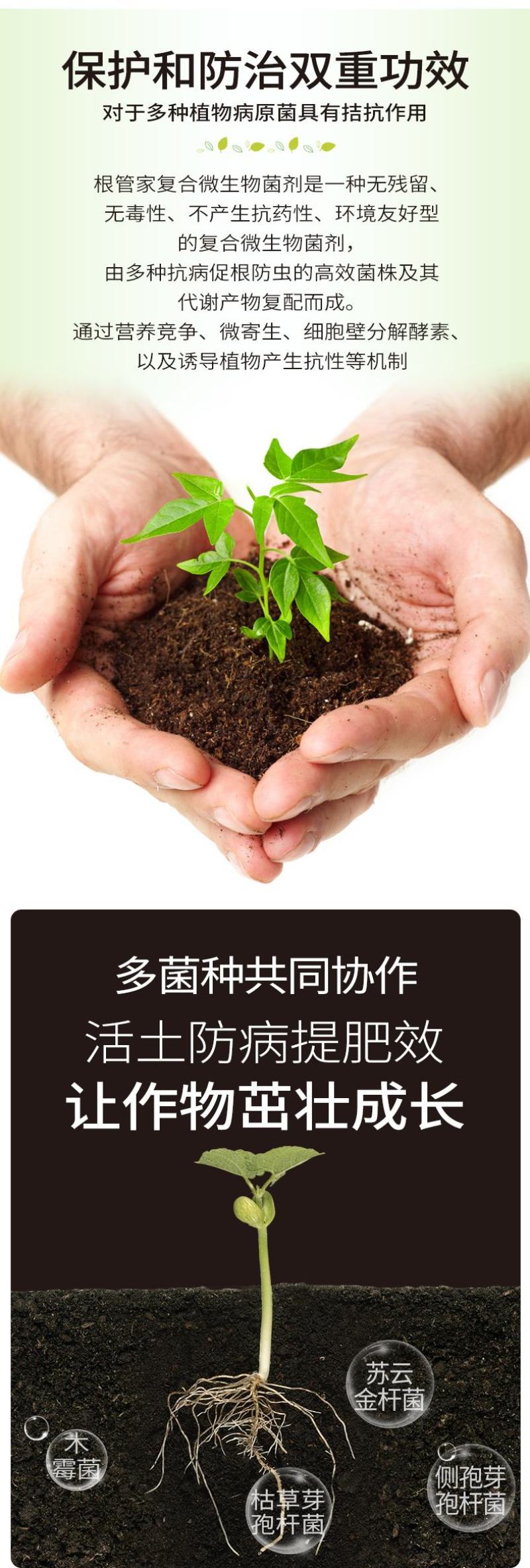 根管家有机肥护根养根防虫防病防腐促苗壮秧。