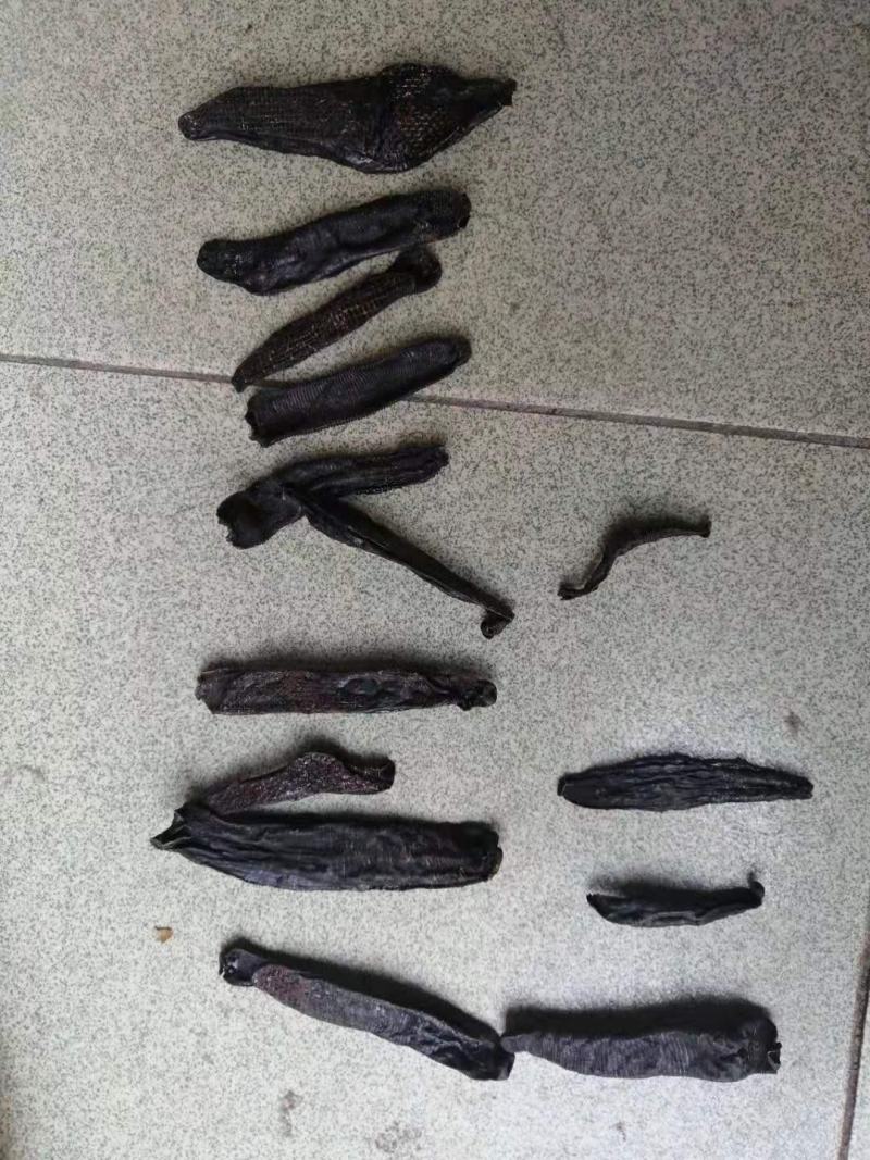 水蛭，蚂蝗干货，人工采收，加工，晒干，药用价值高