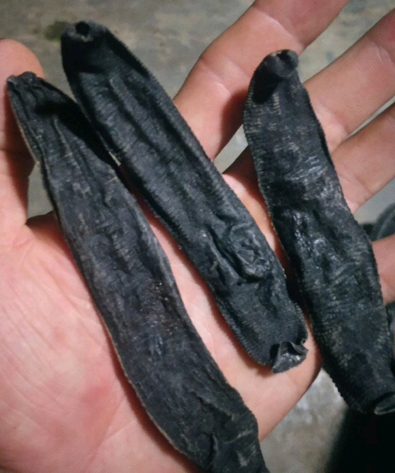 水蛭，蚂蝗干货，人工采收，加工，晒干，药用价值高