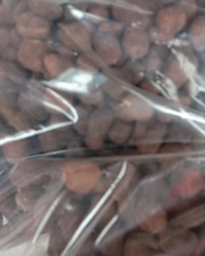大枫子，常年批发供应冷背中药材大风子