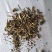 益母草低等货统批发零售诚信经营支持混批量大从优支持混