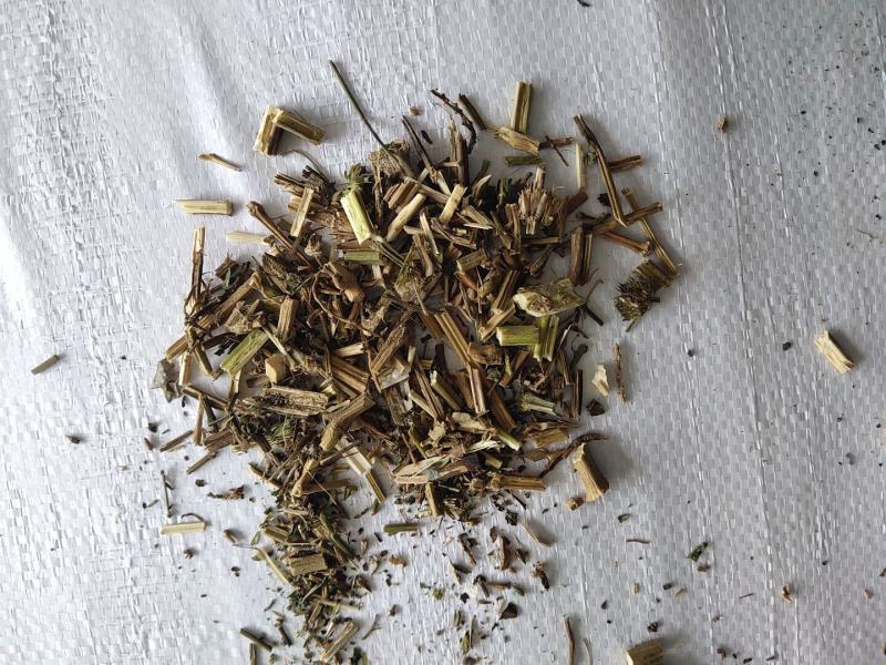 益母草低等货统批发零售诚信经营支持混批量大从优支持混