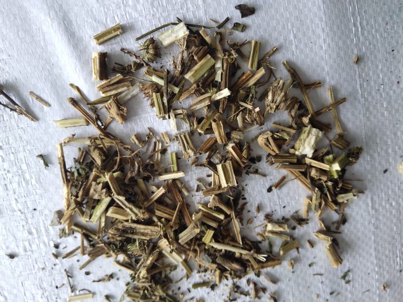 益母草低等货统批发零售诚信经营支持混批量大从优支持混