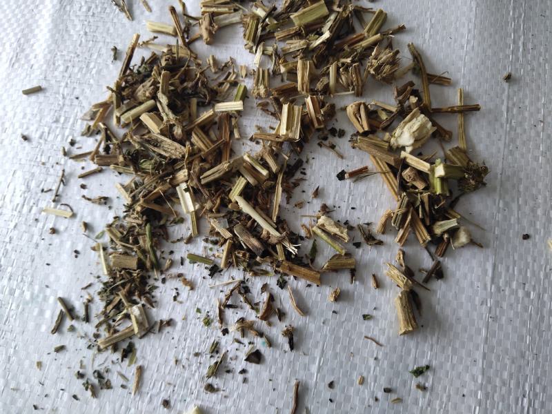 益母草低等货统批发零售诚信经营支持混批量大从优支持混