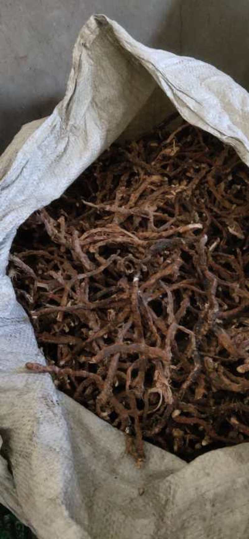石菖蒲干货去根须干净无杂质货源充足质量保证