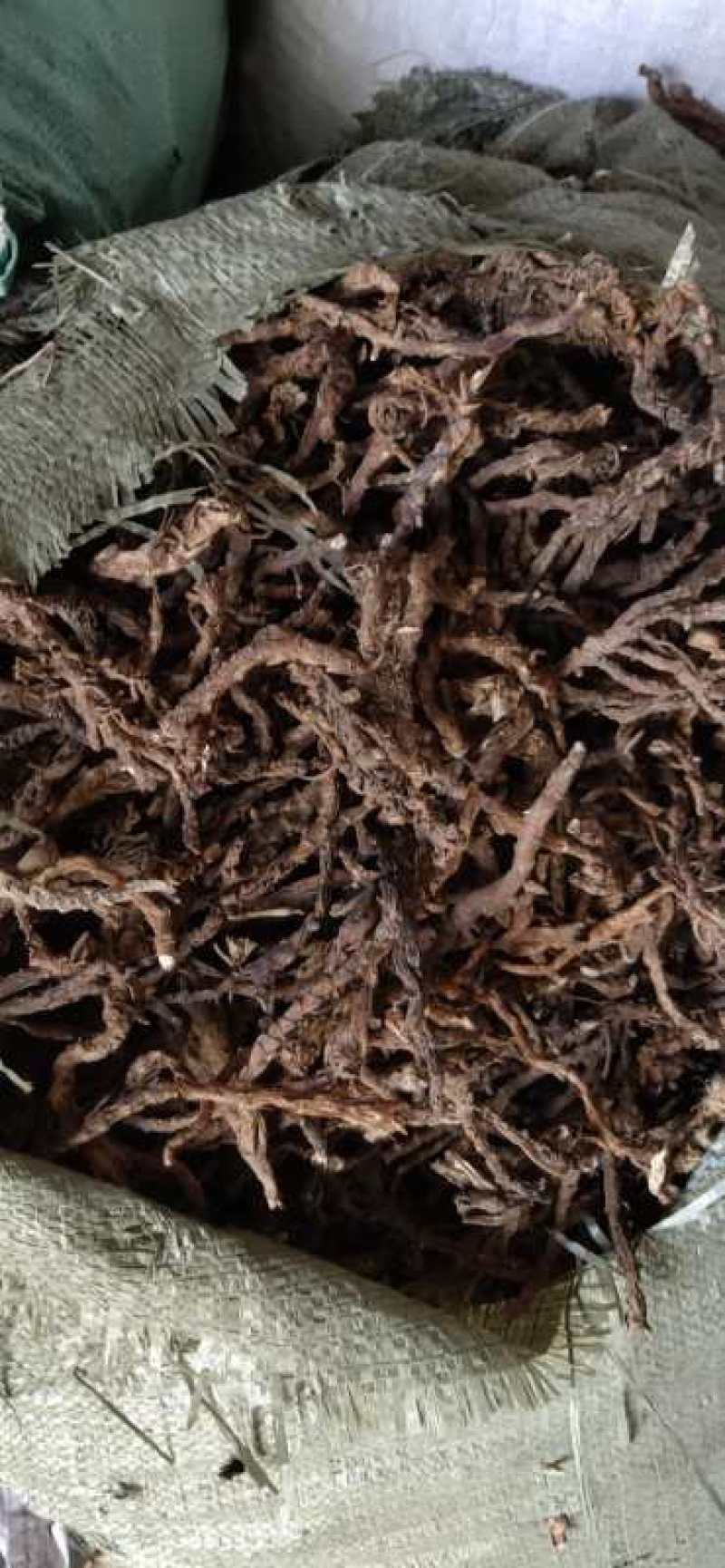 石菖蒲干货去根须干净无杂质货源充足质量保证