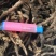 石菖蒲干货去根须干净无杂质货源充足质量保证