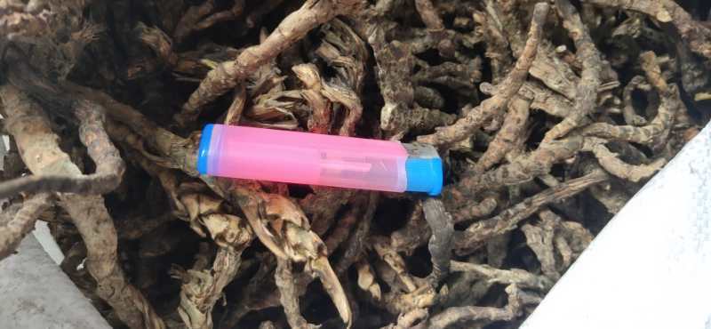 石菖蒲干货去根须干净无杂质货源充足质量保证