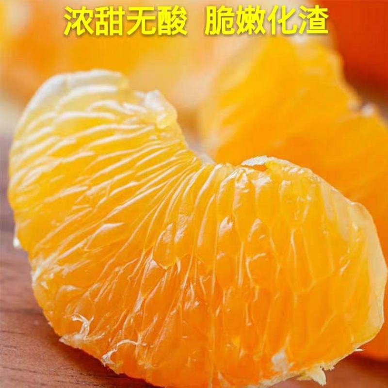 蜜橘苗，甜度高，特早熟由良蜜橘，大分4号，爱莎柑橘，