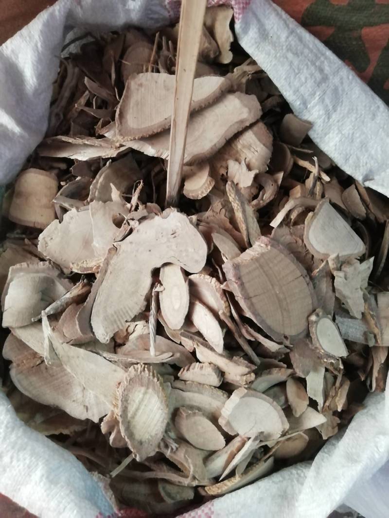 飞龙掌血根皮中药材见血飞，大救驾三百棒见血散
