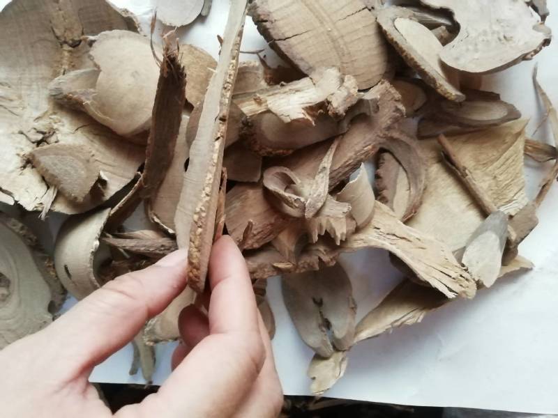 飞龙掌血根皮中药材见血飞，大救驾三百棒见血散