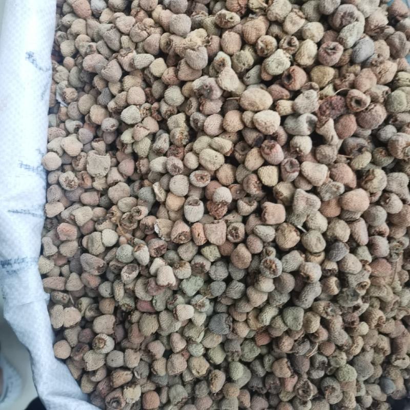 覆盆子中药材浙江大颗粒覆盆子批发