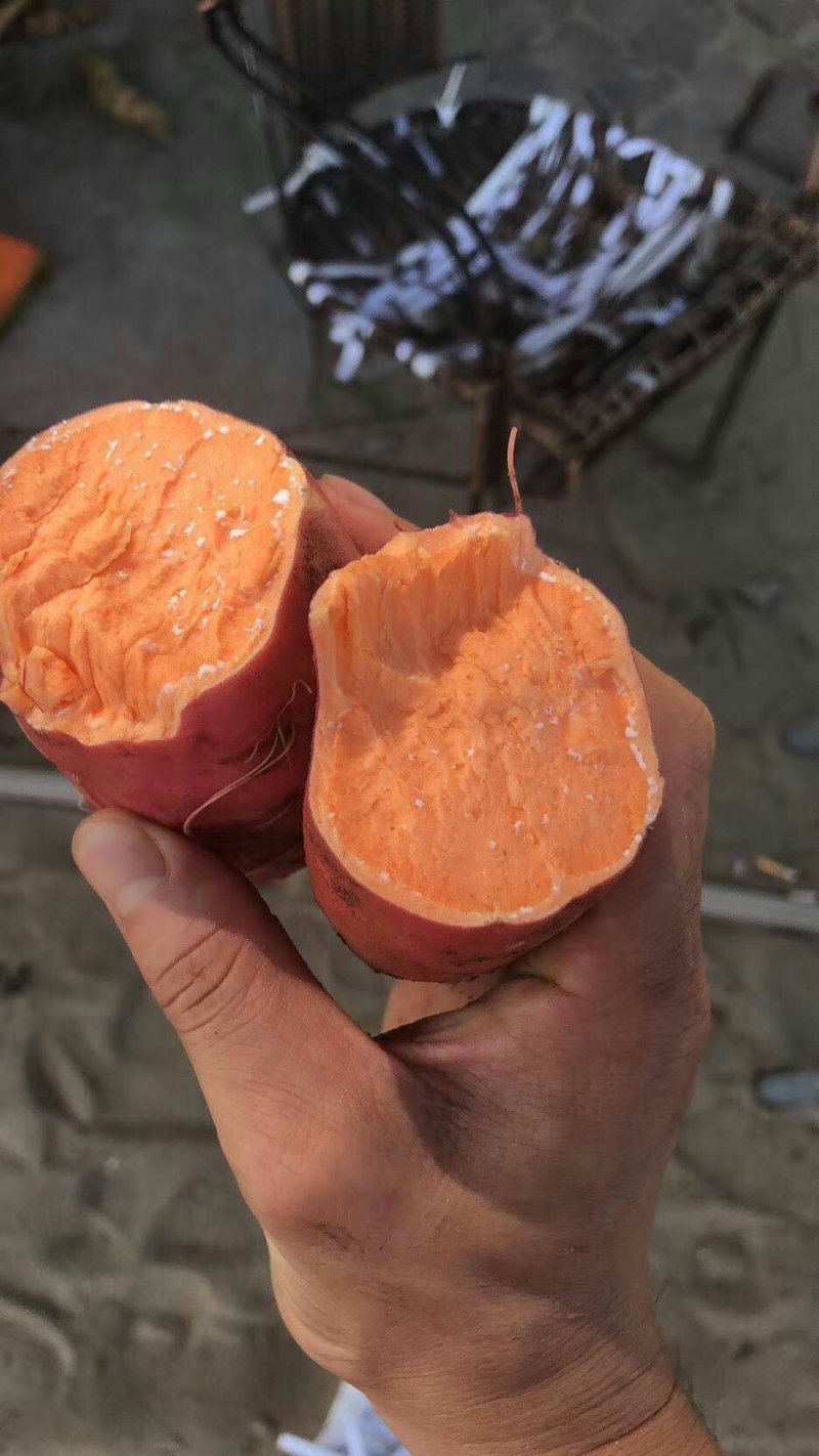 落地配社区团购日供货20000单六鳌蜜薯产地一手货源