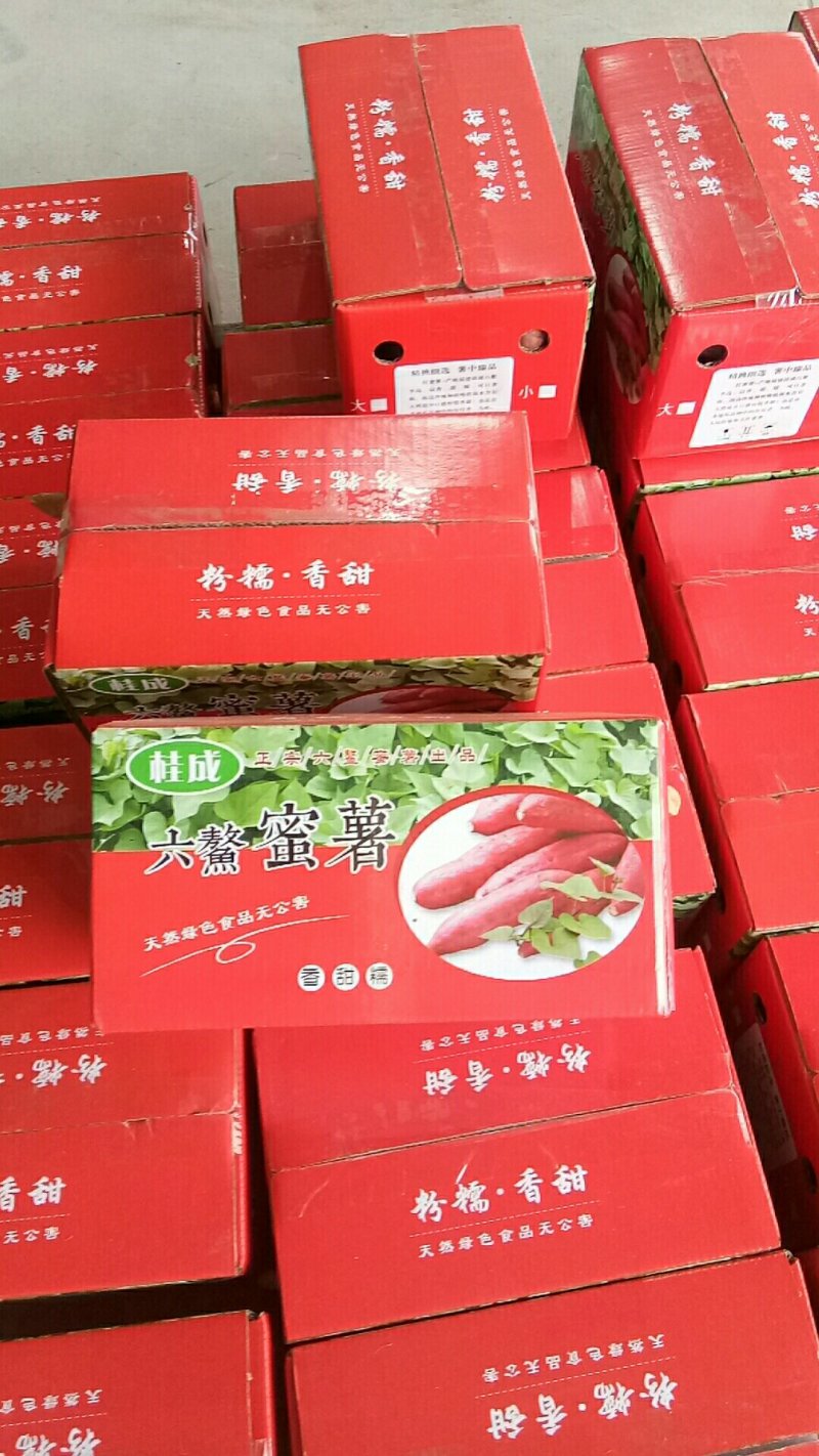 落地配社区团购日供货20000单六鳌蜜薯产地一手货源