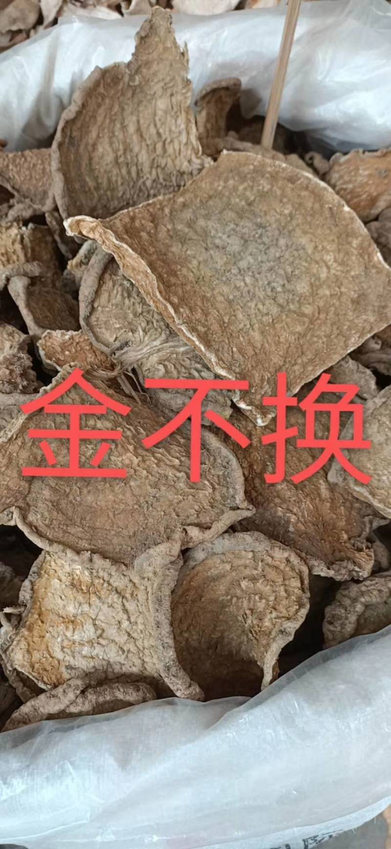 山乌龟金不换地不容中药材，千金藤根，地乌龟野生新鲜干货