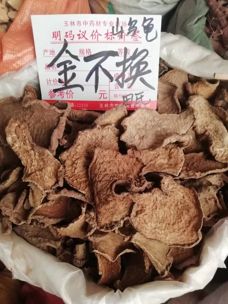 山乌龟金不换地不容中药材，千金藤根，地乌龟野生新鲜干货