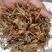 中药材天香炉