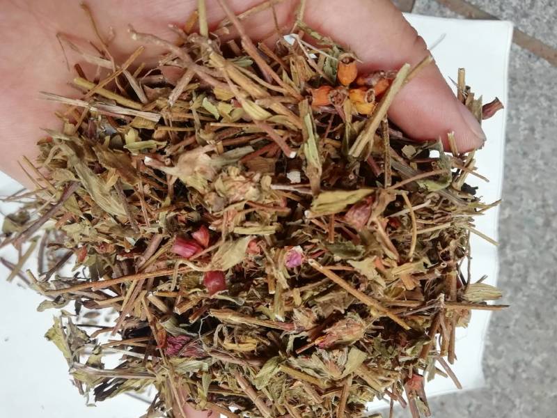 中药材天香炉