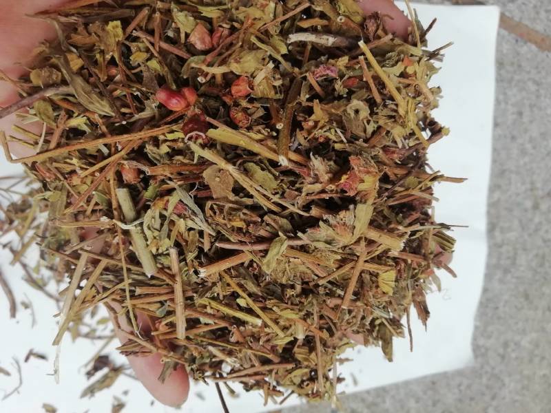 中药材天香炉